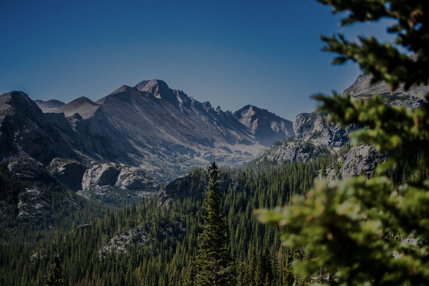 Photo des montagnes et foret du colorado