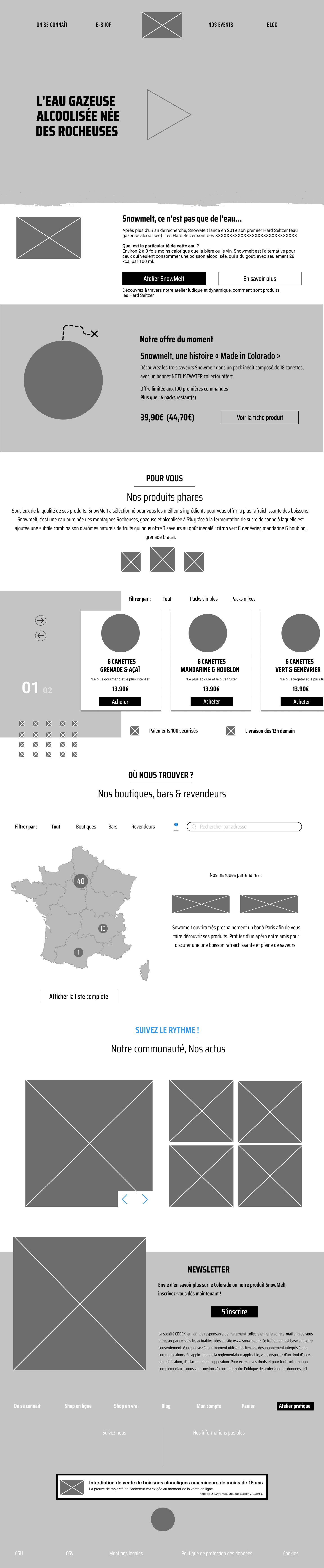 Home Page UX du projet SnowMelt