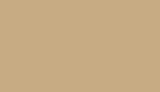 Couleur beige d'une charte graphique