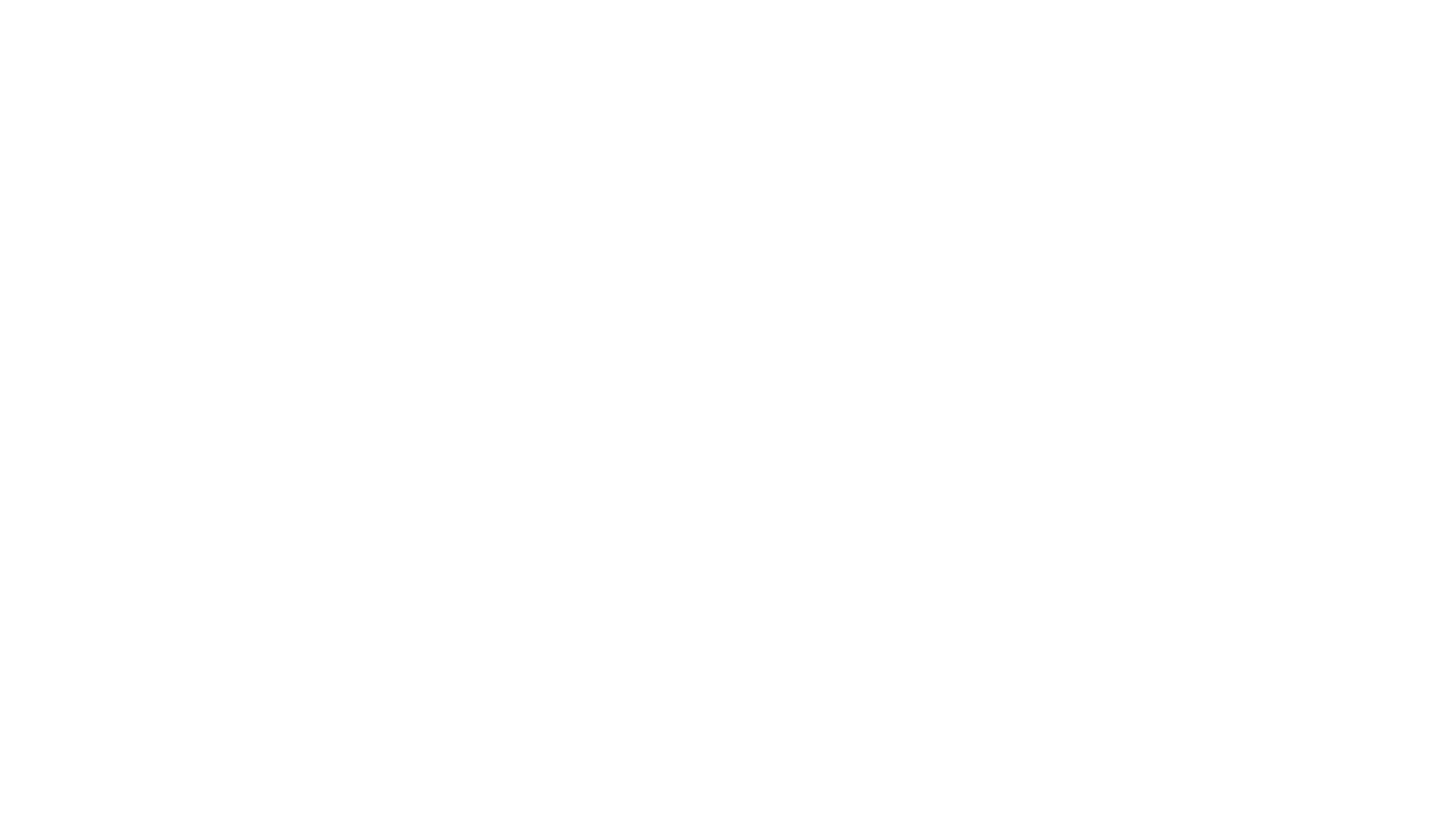 Surf on Com logo Blanc 3